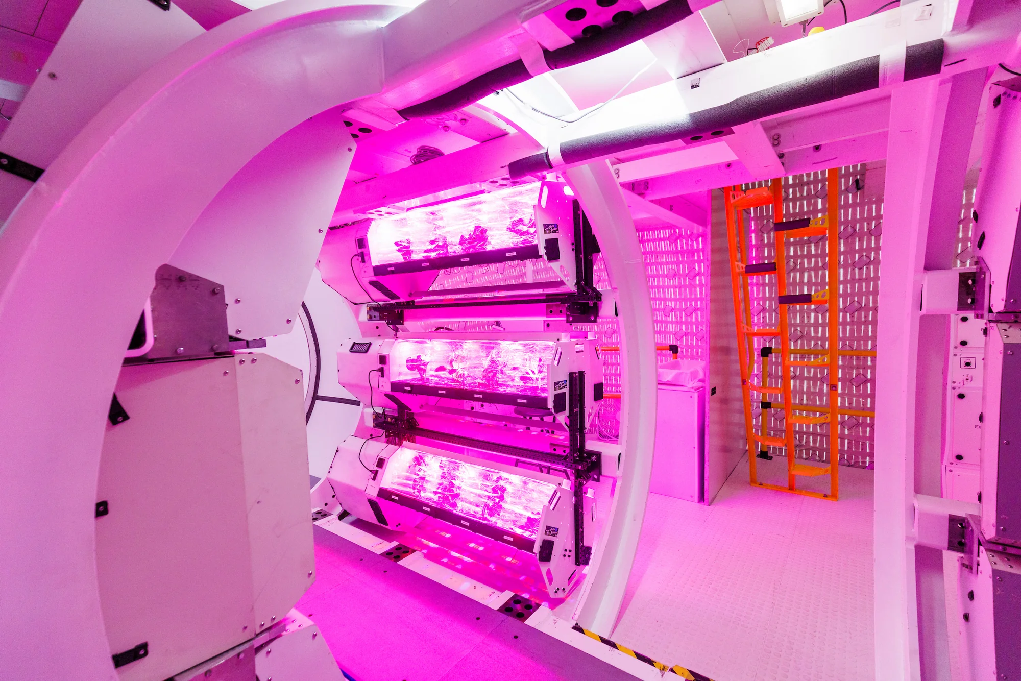 Illuminated grow racks inside a ground LIFE mock-up during a tour