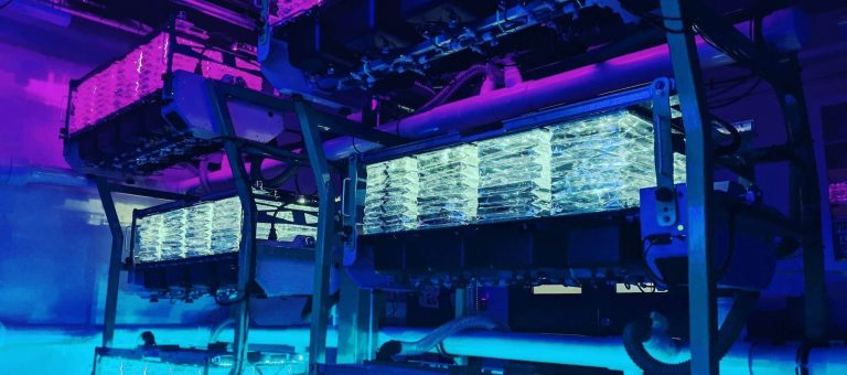 Illuminated payload growth racks inside a ground environmental test chamber
